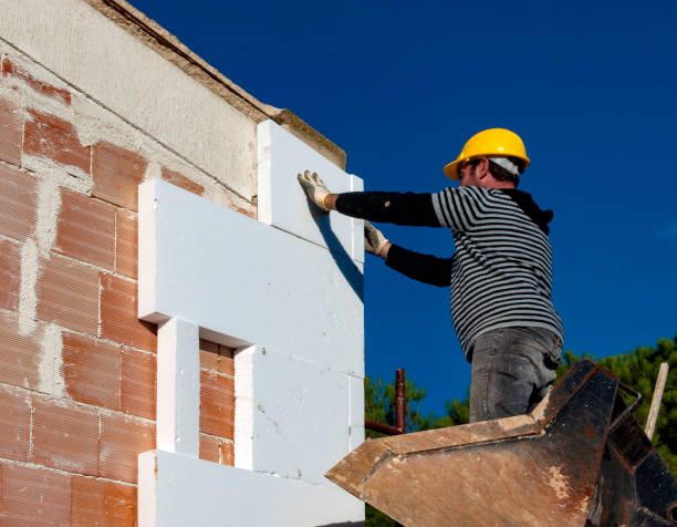 Best Professional Insulation Contractor  in Ozark, MO