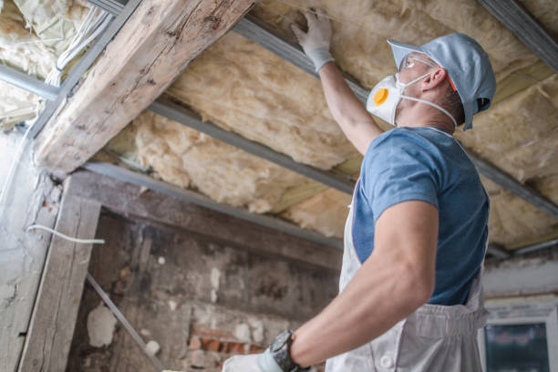 Best Cellulose Insulation  in Ozark, MO