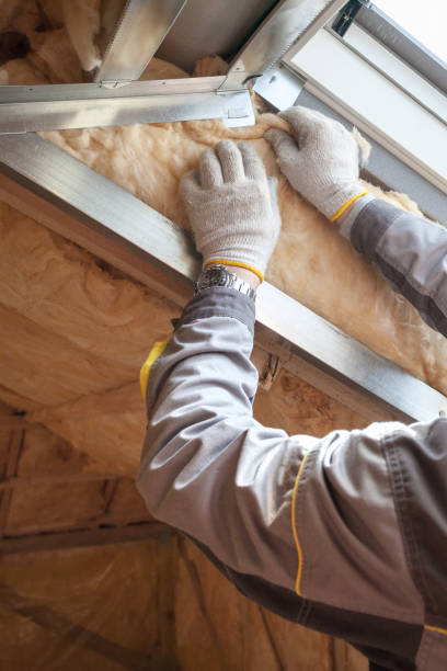 Best Attic Insulation Installation  in Ozark, MO