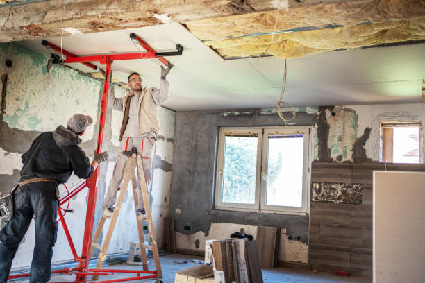 Best Insulation Removal  in Ozark, MO