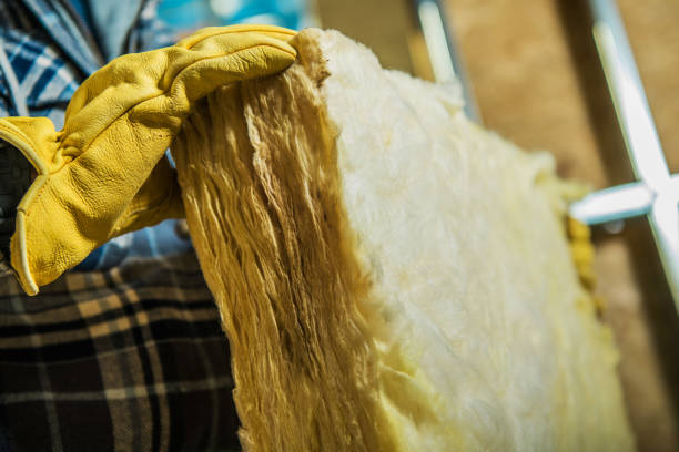 Best Insulation Replacement Services  in Ozark, MO