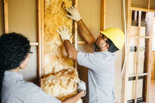 Best Soundproof Insulation Installation  in Ozark, MO