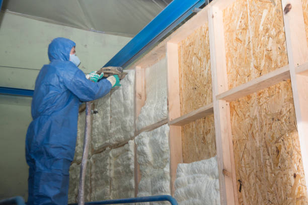 Best Crawl Space Insulation  in Ozark, MO