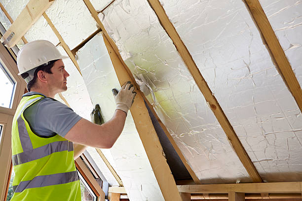 Best Home Insulation Services  in Ozark, MO